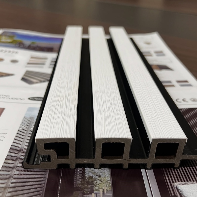 Eco-Friendly Wood Plastic Composite WPC Wall Panels for Interior and Exterior Applications